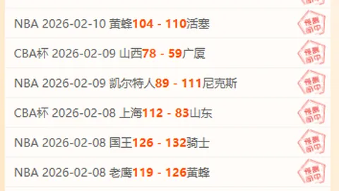 “中国篮球公开赛总决赛圆满收官”